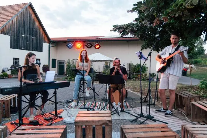 Bis in die frühen Morgenstunden unterhielten Bands aus Markt Hartmannsdorf - die Peintrieglband, Dynamic4 und DJ Eichi - hunderte Gäste. Letztere wurden auch kulinarisch verwöhnt mit den regionalen Produkten.