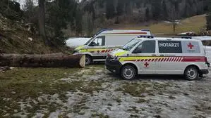 Das Rote Kreuz und die Polizei waren im Einsatz