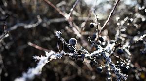 Ein Hauch von Winter ist in den nächsten Tagen an manchen Orten zu spüren (Sujetbild)