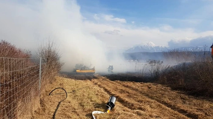 Klicken Sie sich durch die Bilder vom Feuerwehreinsatz beim Flughafen