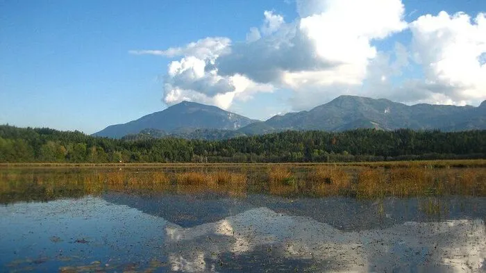 Das Sablatnigmoor in der Gemeinde Eberndorf ist eine wertvolle Naturoase, ein naturräumlich intaktes Feuchtgebiet, das zu den am stärksten gefährdeten Lebensraumtypen gehört.