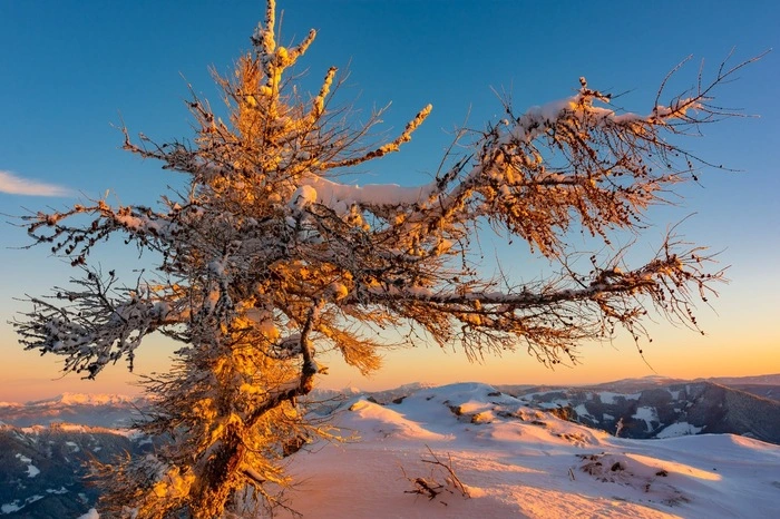 Nun lässt er uns mit seinen wundervollen Aufnahmen an der Wanderung teilhaben. Klicken Sie sich durch die Bilder!