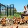 Nina Schweinzger lebt mit 6000 Hühnern auf einem Bauernhof 