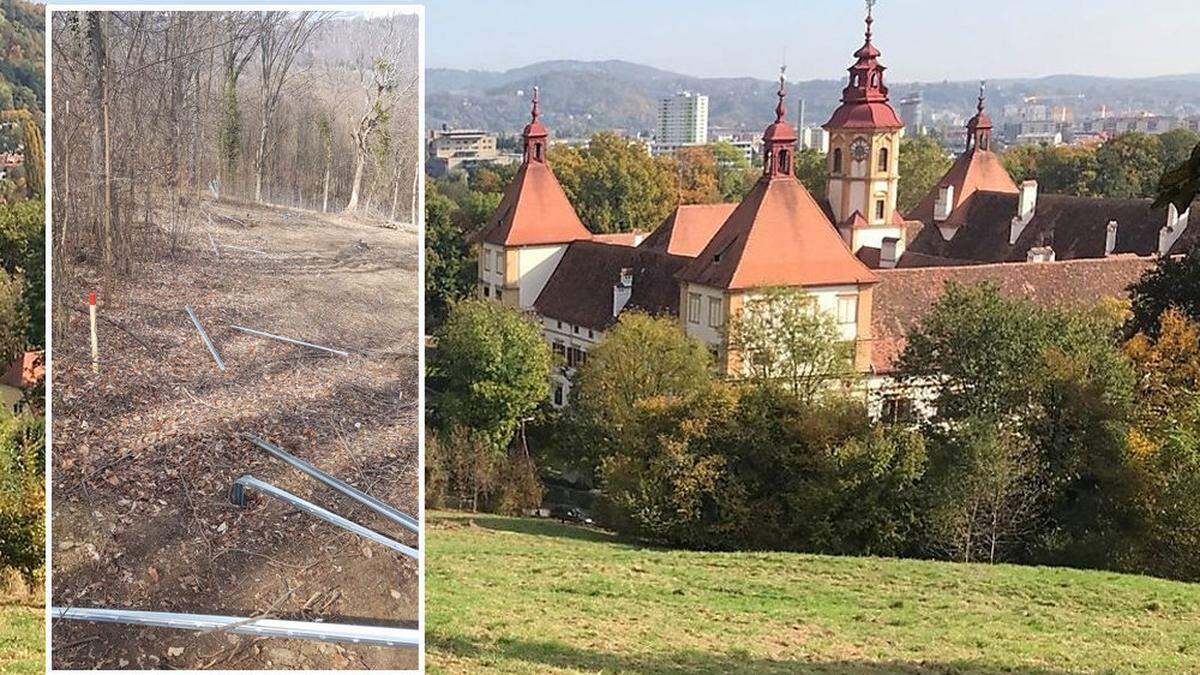 Mit der geplanten Schafweide und Streuobstwiese über dem Schloss Eggenberg haben nicht alle eine Freude - im kleinen Bild die am 8. März 2021 festgestellten Beschädigungen