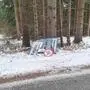 Das einstige Diebesgut wurde im Wald entsorgt