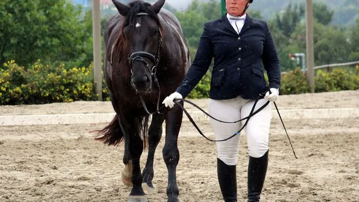 Schritt,Trab und Galopp bestimmten die Vorgaben, so wie hier bei den Norikern, bevor man abgesattelt zur Siegerehrung ging. 