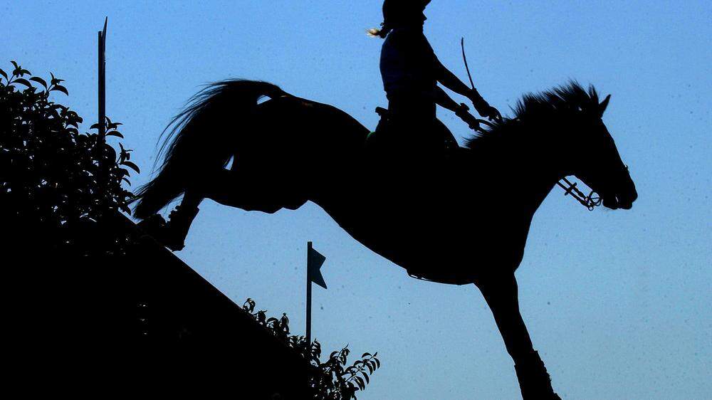 Ein sechsjähriges Mädchen wurde bei einem Sturz vom Pferd in Kärnten verletzt (Symbolfoto)
