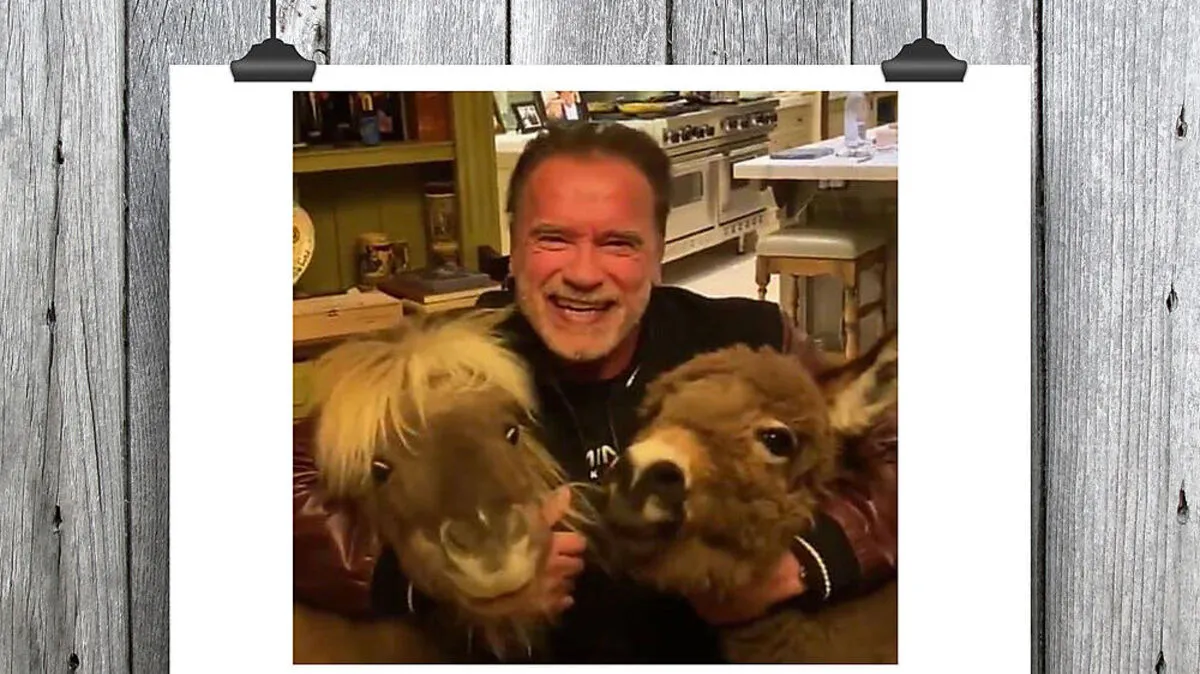 Arnold Schwarzenegger, Whisky und Lulu