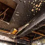 Die Decke in der Küche wurden bei dem Brand komplett zerstört