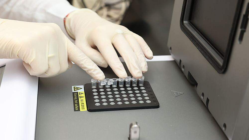 Die PCR-Tests laufen weiterhin auf Hochtouren (Sujetbild)