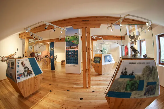 Die Ausstellung lädt zum interaktiven Erkunden der heimischen Tierwelt ein.