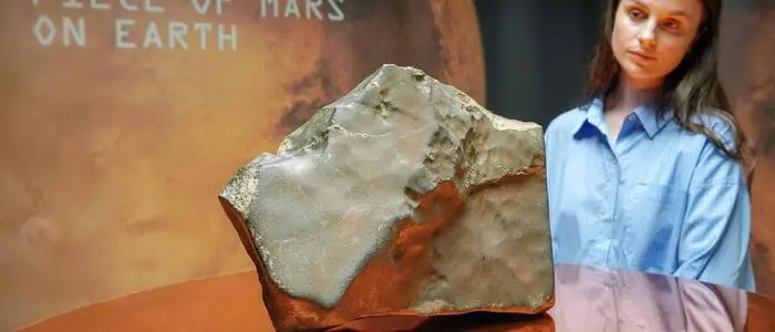 Der aus dem Niger gebrachte Mars-Meteorit in New York
