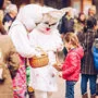 Die Osterhasen kehren nach Villach zurück