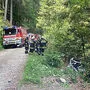 Bäume verhinderten den weiteren Absturz des Fahrzeuges
