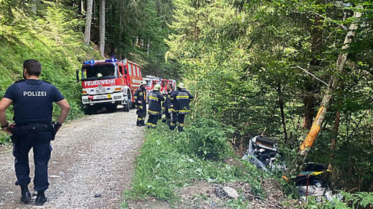 Bäume verhinderten den weiteren Absturz des Fahrzeuges