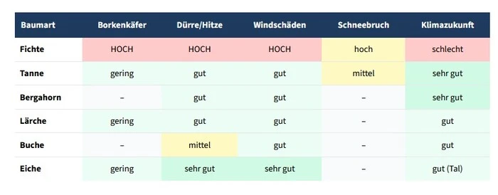 Die Risikobewertung der Baumarten im Mölltal durch den Wetterdienst Tauernwetter