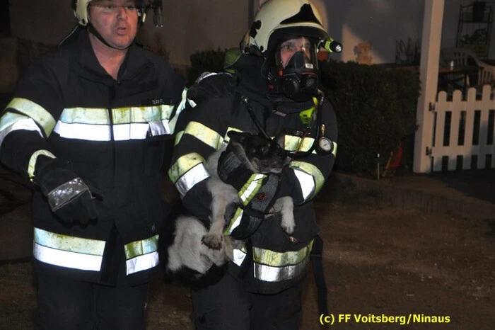 Einen Hund konnte die Feuerwehr unversehrt aus den Flammen retten.
