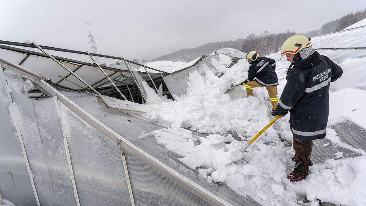 In Koppl bei Salzburg brachten die regennassen Schneemassen am Montag das Glashaus einer Gärtnerei zum Einsturz