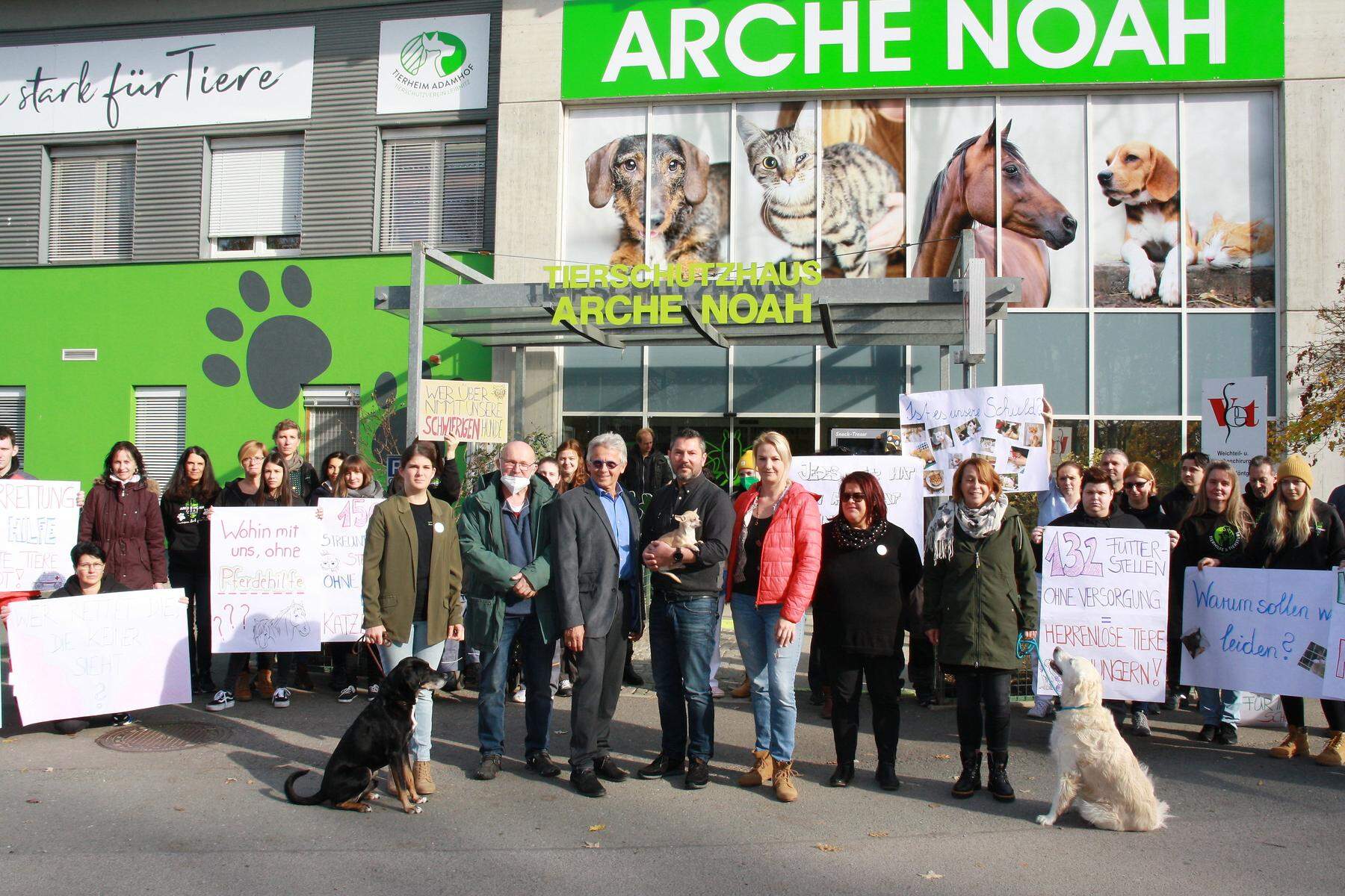 Tierschutzverein in Not Jetzt steuert das Grazer Tierheim