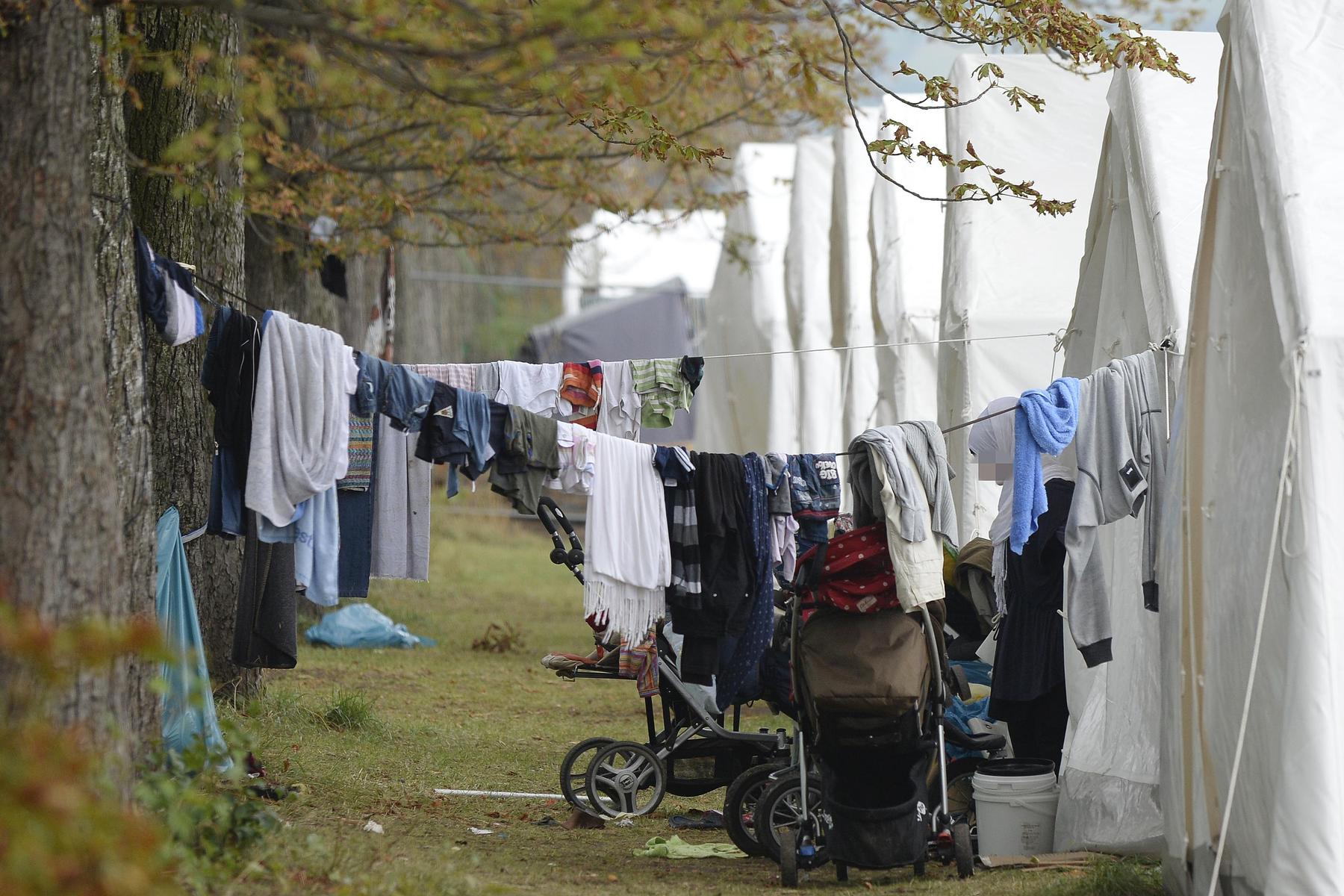 Flüchtlingswelle in Traiskirchen : Der Sommer, der alles veränderte