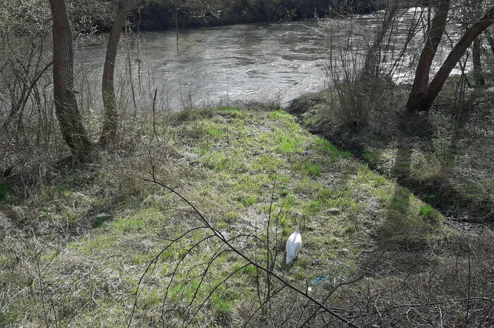 ... nach erfolgter Rettung ging es aber wieder Richtung Fluss.