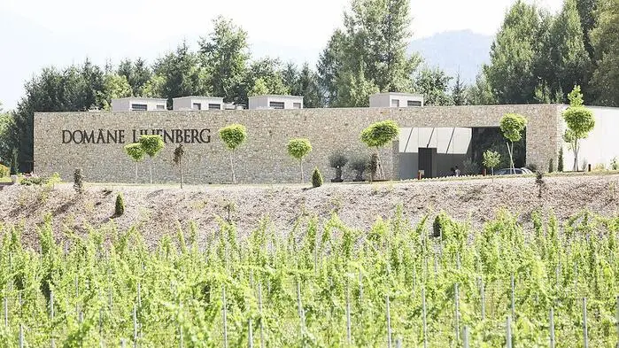 Das Weingut Domäne Lilienberg ist pleite, die Webseite existiert bereits seit geraumer Zeit nicht mehr