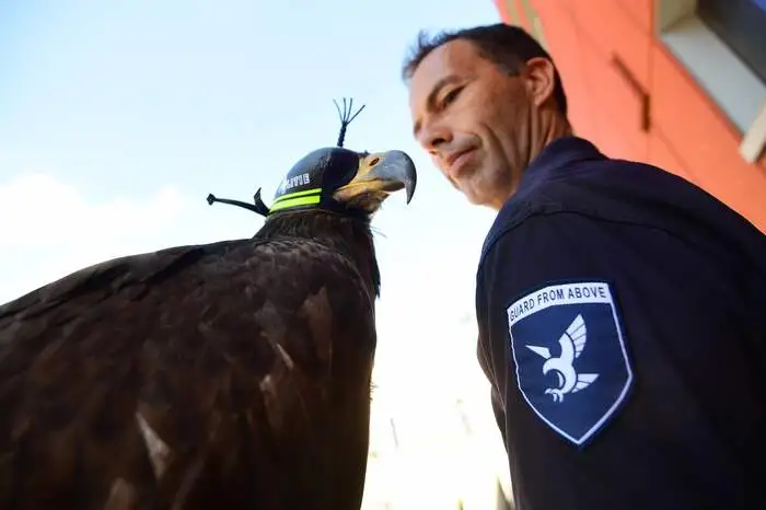 ... Direktor des Betriebes "Guard from Above" über seine Schützlinge. Über ein Jahr lang ...