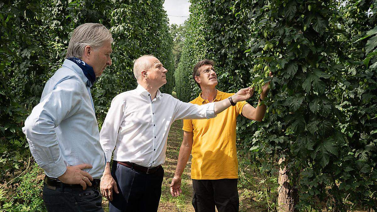 Gerald Zanker (Brauunion) und LR Johann Seitinger (ÖVP) zu Besuch bei Hopfenbauer Gerald Pronegg in der Südsteiermark