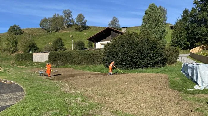Bevor es losgeht, müssen einige Vorbereitungen getroffen werden. Wichtig: Die gesamte Grasnarbe muss abgetragen werden, bevor es ans Säen geht.