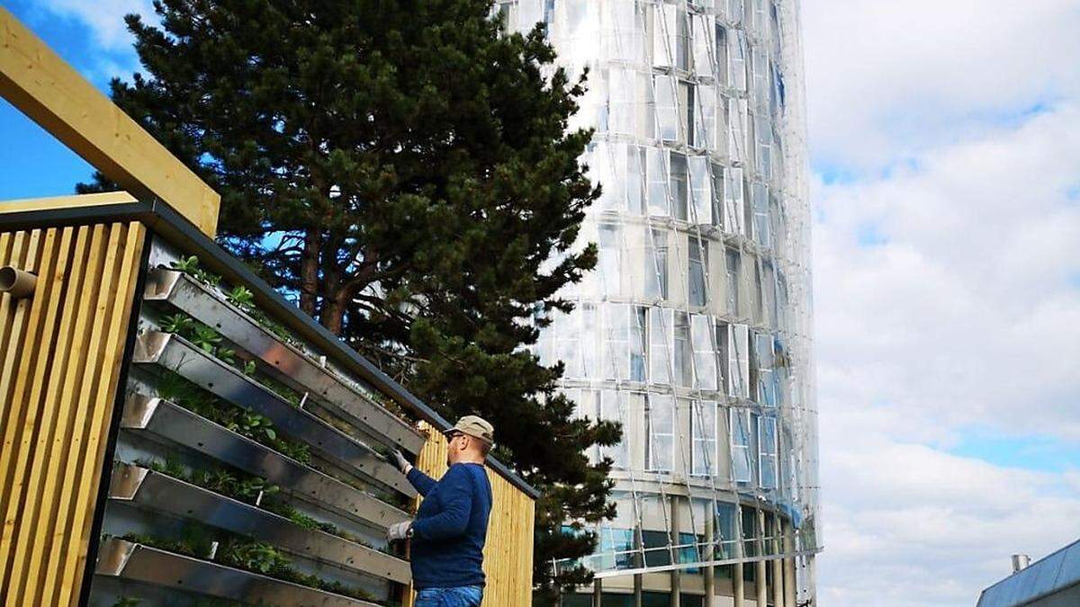 Gebäudebegrünung und Holzbau: Lösungen werden im &quot;green.LAB&quot; getestet