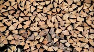 Über das Unternehmen aus Klagenfurt wurde ein Insolvenzverfahren eröffnet