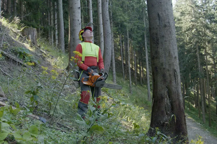 Besuche bei Bergbauern wie August (Foto) und Waltraud Hohl, die sich der Beseitigung von befallenem Holz widmen, geben Einblicke in die ländliche Arbeit. 