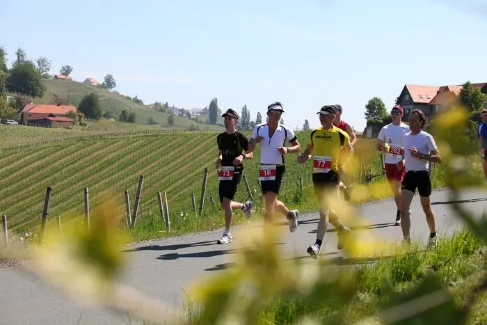 Beim WelschWeingut Run treten erstmals Weingüter der Region gegeneinander an