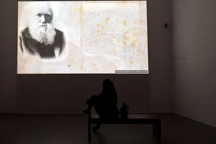 Gates hatte den Codex 1994 bei einer Auktion für 30,8 Millionen Dollar ersteigert und bereits für Ausstellungen in mehreren Städten zur Verfügung gestellt.
