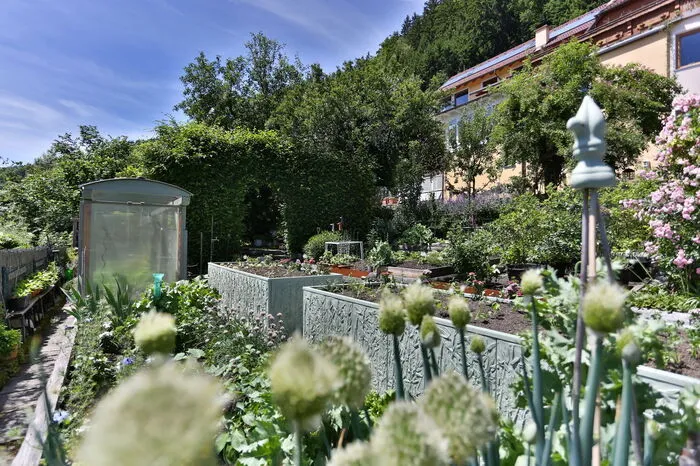 Blick auf die „Urzelle“: Wo jetzt feine Hochbeete stehen, lageinst der Gemüsegarten mit den dazugehörigen Mistbeeten. Im Hintergrund das Wohnhaus der Familie am Südhang.