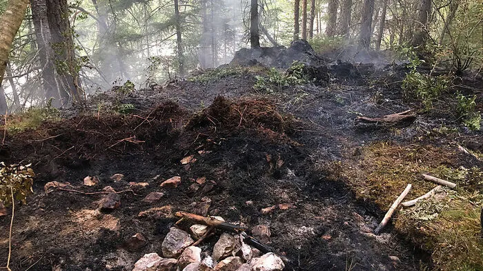 Ein Grillplatz im Wald wurde als Brandursache ausgemacht