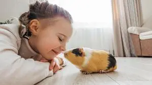 Haustiere sind mit ihren Stupsnasen hervorragende Trostspender