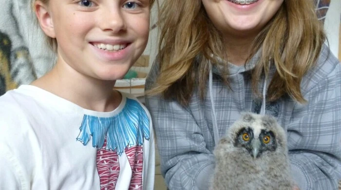 Volksschulkinder aus Lichendorf finden kleine Waldohreule und bringen sie zu Berg- und Naturwächter Hubert Tuscher aus Misselsdorf. Jetzt wird "Flauschi" im Naturschutzzentrum Bruck/Mur auf die Auswilderung vorbereitet.