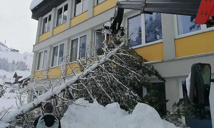 Mit einem Kran wurde der Baum entfernt