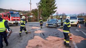 Die Feuerwehr Landscha war mit 17 Personen im Einsatz