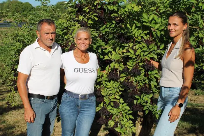 Michael Neuhold mit Frau Petra und Tochter Paula in einer ihrer Holunderanlagen