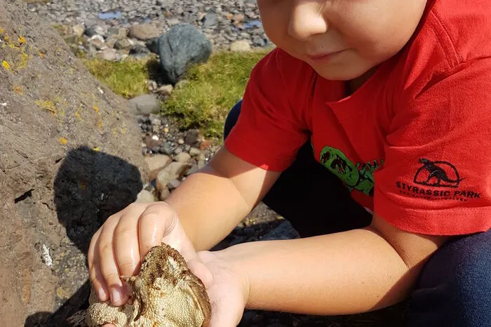 Max (6) war oft schwimmen, jetzt kann er’s richtig gut. Dann war er mit den Eltern und den zwei älteren Brüdern in Norwegen – die erste Flugreise – spannend, aber auchgruselig. Irgendwann will er in Norwegen leben. Gefallen hat ihm dort das Fischen und Krabbenfangen.