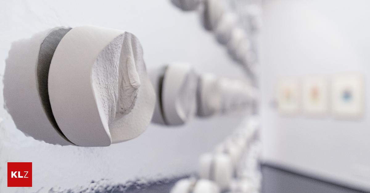 „Ordinäre Aktion“: FPÖ-Aufreger über Vulva-Workshop in Linzer Stadtmuseum