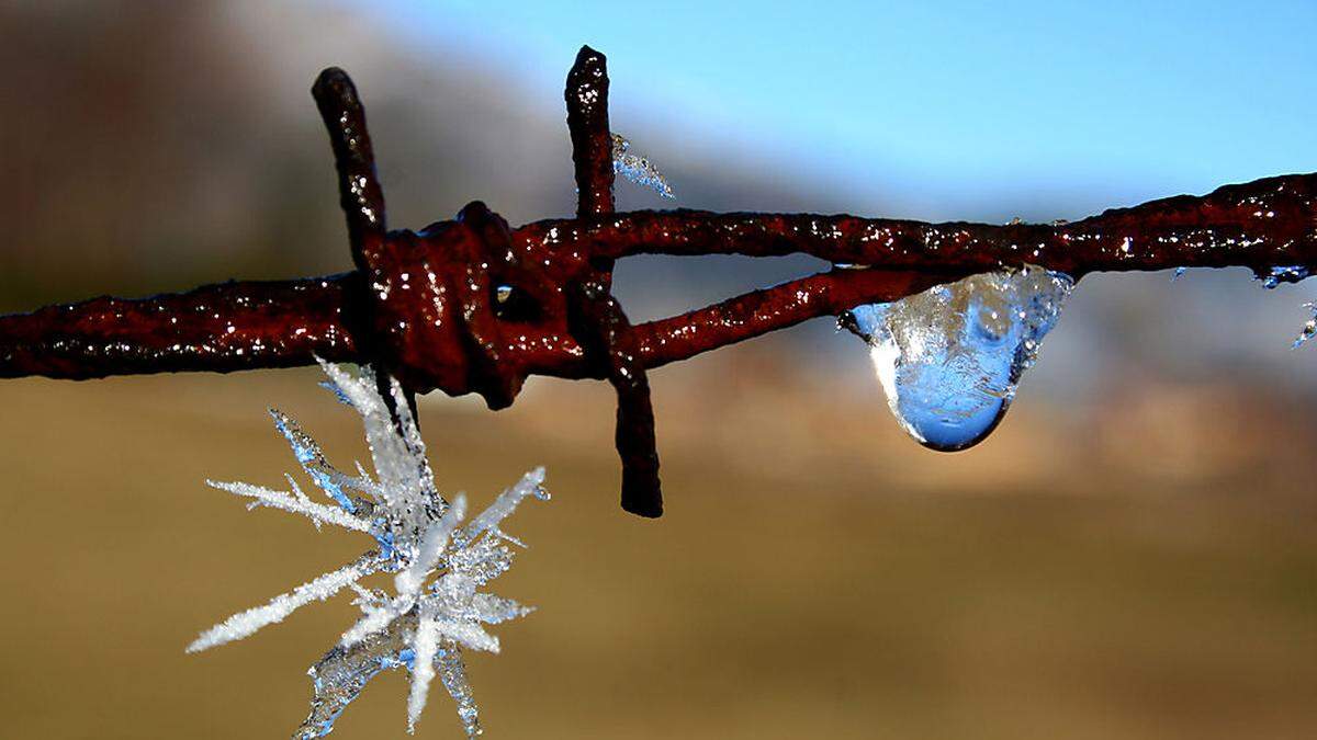 Weihnachtstauwetter setzt ein