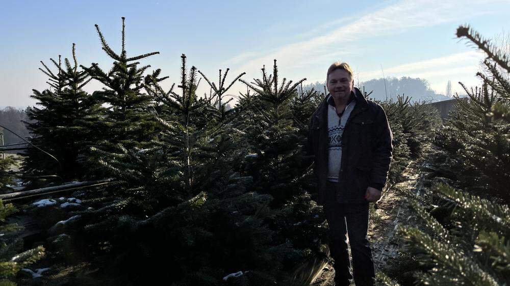 Thomas Wilhelm vom Gartenbau Wilhelm in Tillmitsch liegt Nachhaltigkeit zu Weihnachten am Herzen