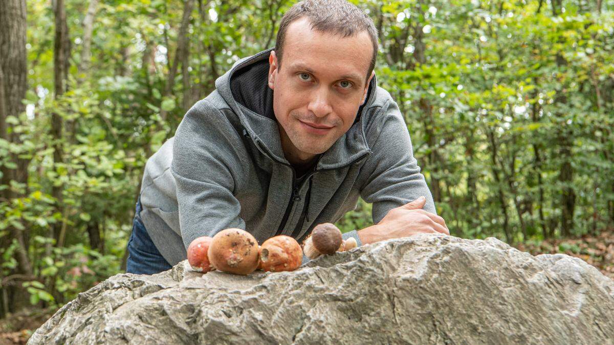 Gernot Friebes ist Pilzexperte beim Universalmuseum Joanneum und ist auch für die Pilzkundliche Sammlung zuständig.