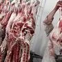 Schweinehälften in Schlachthof