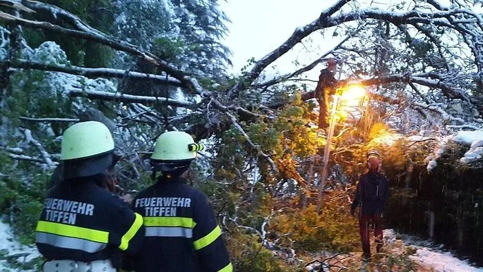 Zahlreiche Bäume musste von Straßen und Wegen entfernt werden