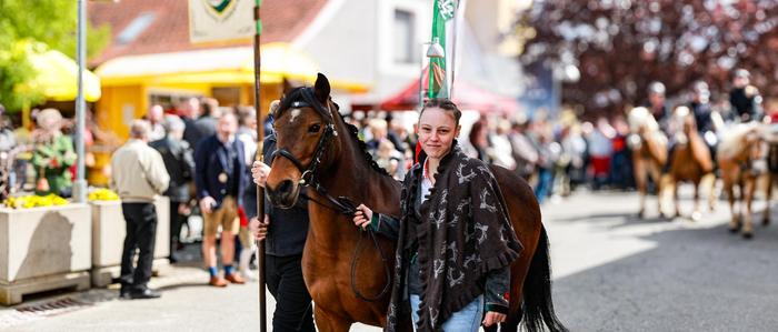 Ein Fest der Pferde: das Georgifest