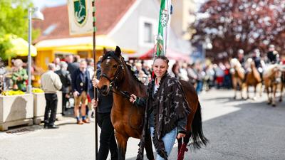 Ein Fest der Pferde: das Georgifest